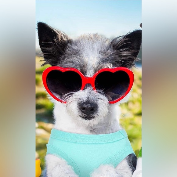 WEEWOODAY PET SHIRT - Picture 4 of 12